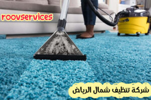شركة تنظيف شمال الرياض رخيصة