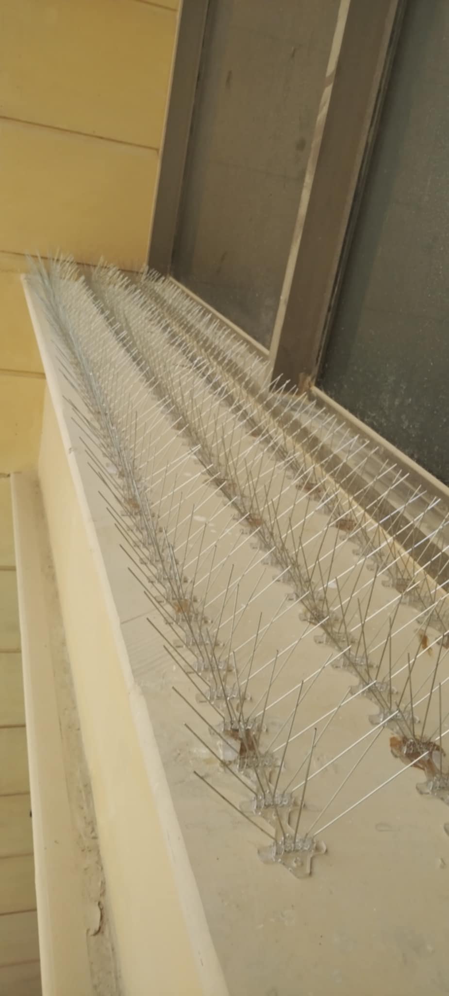 شبك درايش للحمام
